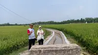 Kegiatan RJIT di Desa Bumi Asri, Kecamatan Palas, Lampung Selatan, dilakukan oleh Kelompok Tani Karya Mekar. (Dok. Kementerian Pertanian)