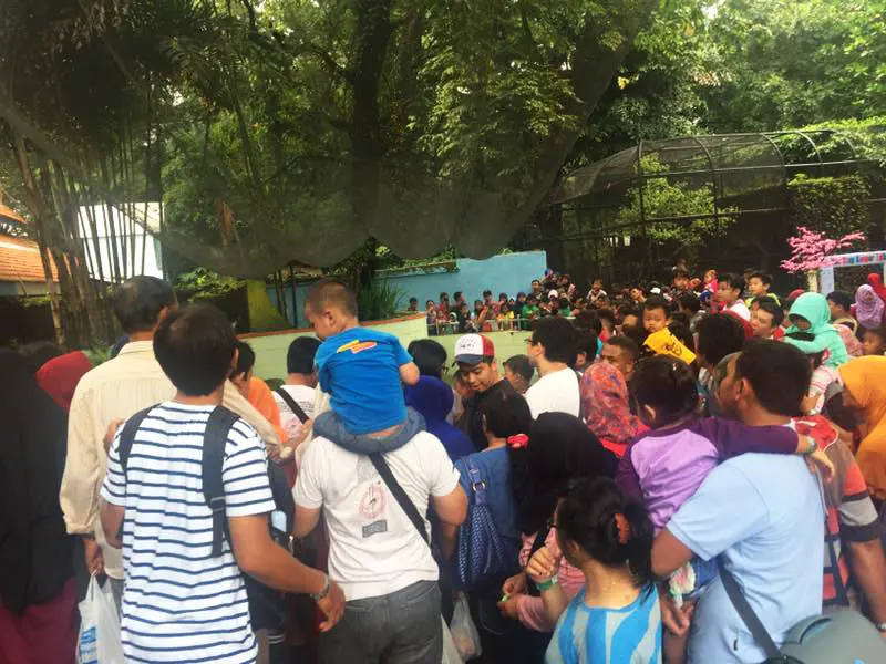 Sebanyak 23 ribu pengunjung menyerbu Kebun Binatang Surabaya (KBS) selama libur panjang sejak Jumat hingga Minggu (16/4/2017). (Liputan6.com/Dian Kurniawan)