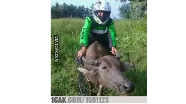 6 Kelakuan Nyeleneh saat di Sawah Ini Bikin Geleng Kepala