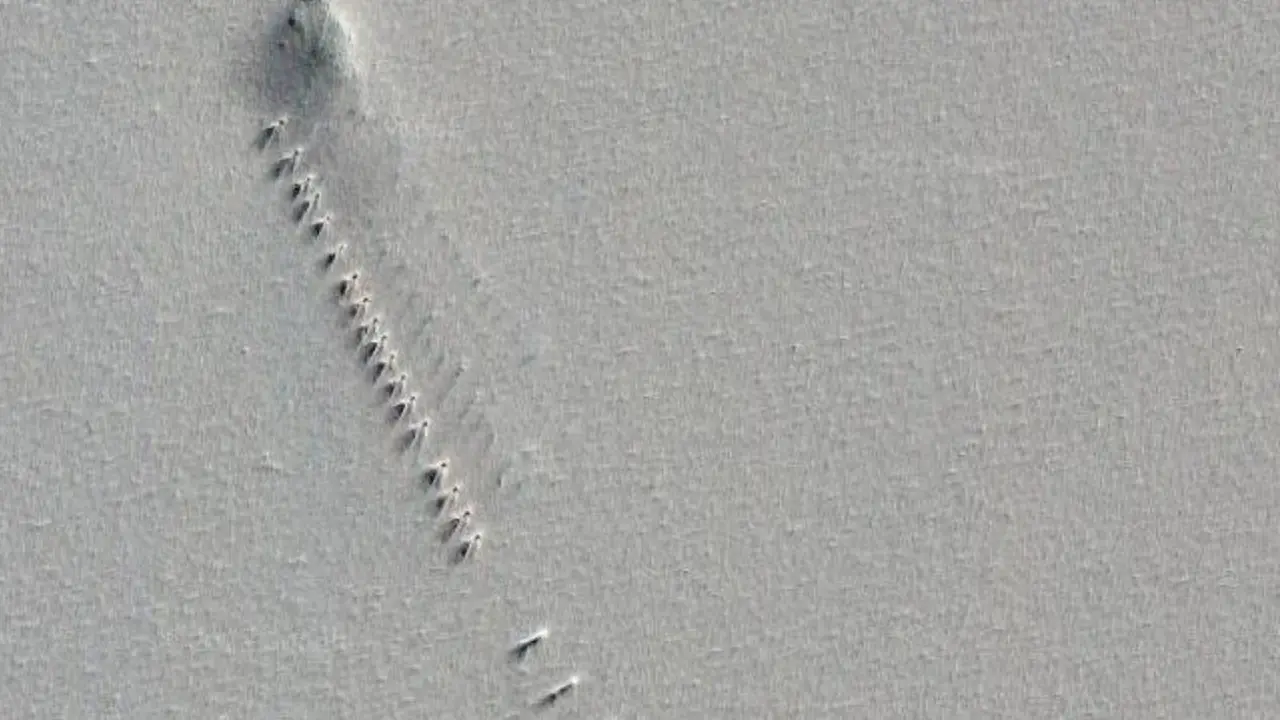 Ilustrasi di Antartika (Google Earth)