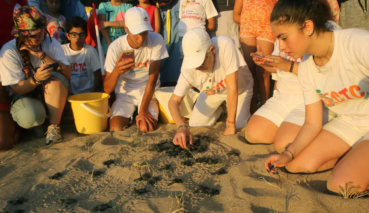Anggota The Orange House Project melepaskan bayi penyu atau tukik di pantai El Mansouri, Tyre, Lebanon, Minggu (29/7). Anggota The Orange House Project membantu penyu menghadapi berbagai ancaman dari kepunahan. (Mahmoud ZAYYAT/AFP)