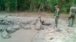 Polisi hutan bersiap mengevakuasi bayi gajah yang terperangkap dalam kolam lumpur di Taman Nasional Thap Lan, Provinsi Nakhon Ratchasima, Thailand, Kamis (28/3). Petugas sempat memberikan kesempatan gajah untuk melepaskan diri. (Department of Natural Park, Wildlife, and Plant Conservation via AP)