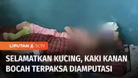 Seorang bocah kelas 6 SD di Labuhanbatu, Sumatera Utara, harus kehilangan kaki kanannya akibat terlindas truk. Korban mengalami kecelakaan saat akan menyelamatkan seekor kucing peliharaannya.