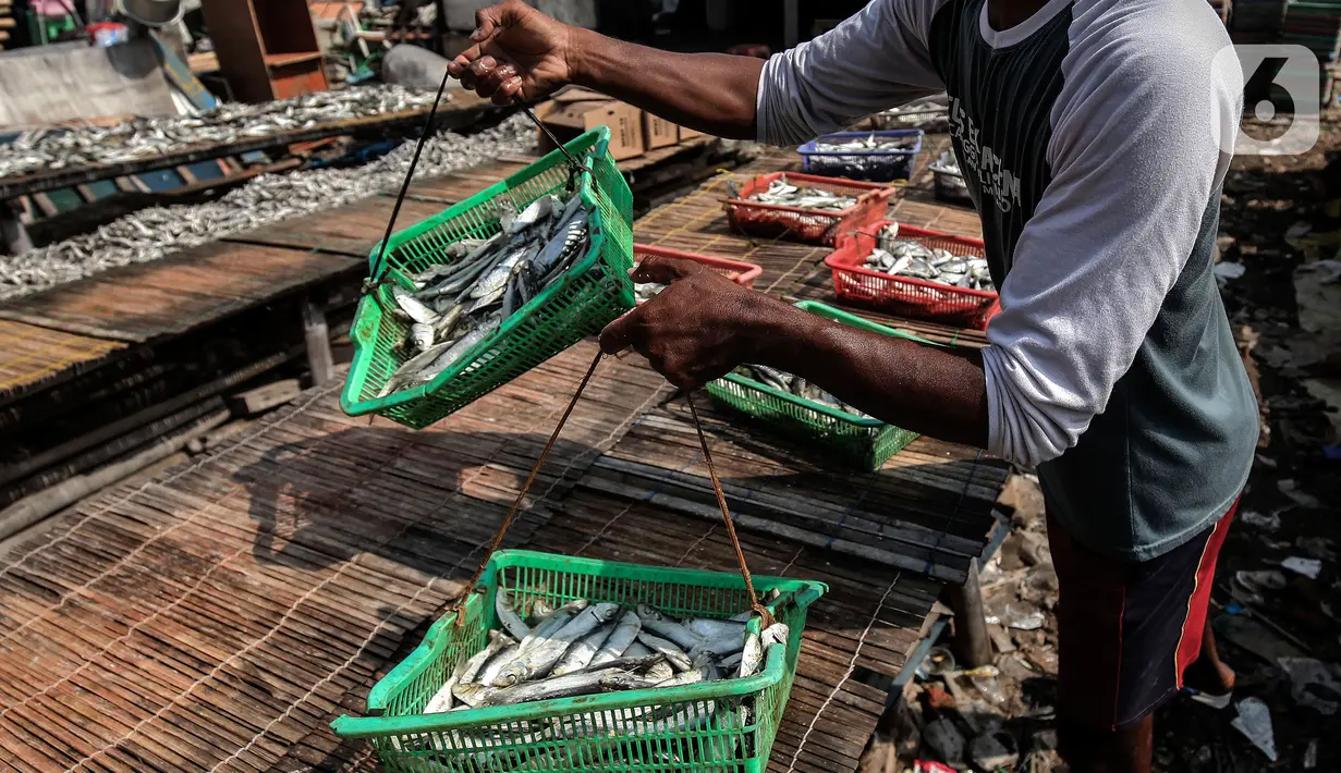 Pekerja menjemur ikan asin di sentra produksi kawasan Kampung Nelayan Muara Angke, Jakarta, Kamis,(17/2/2022). Kementerian Keuangan mengalokasikan anggaran untuk program Pemulihan Ekonomi Nasional (PEN) tahun 2022 sebesar Rp455,62 triliun. (Liputan6.com/Johan Tallo)