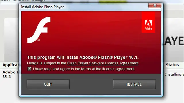 Adobe Flash