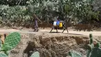 Namun, sumur tersebut ditutup pada tahun 2018 karena tagihan listrik yang belum dibayar - masalah umum di antara asosiasi agraria. (FETHI BELAID / AFP)