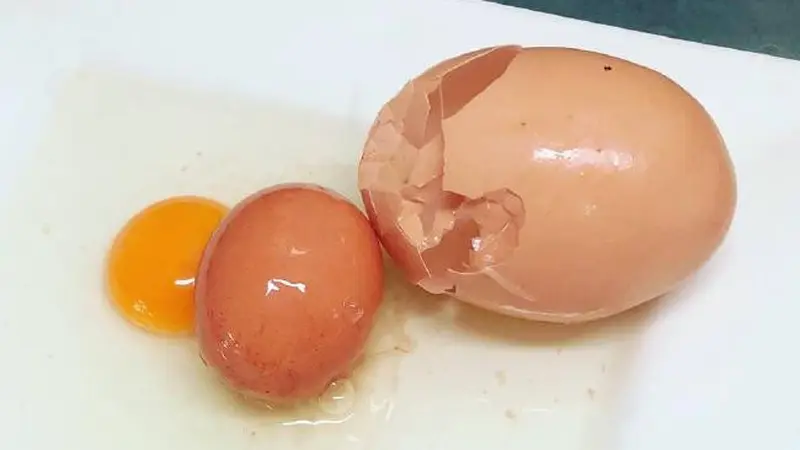 Telur dalam telur di Queensland, Australia. (Facebook/Stockman's Eggs)