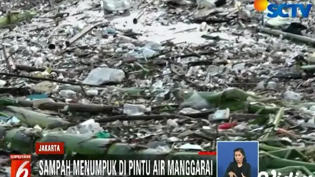 Sampah-sampah ini terbawa arus melalui luapan Sungai Ciliwung setelah hujan deras yang mengguyur kawasan hulunya di Bogor.