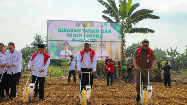 Mentan Amran Genjot Produksi Jagung di Kota Medan, Optimis Bisa Hentikan Kran Impor