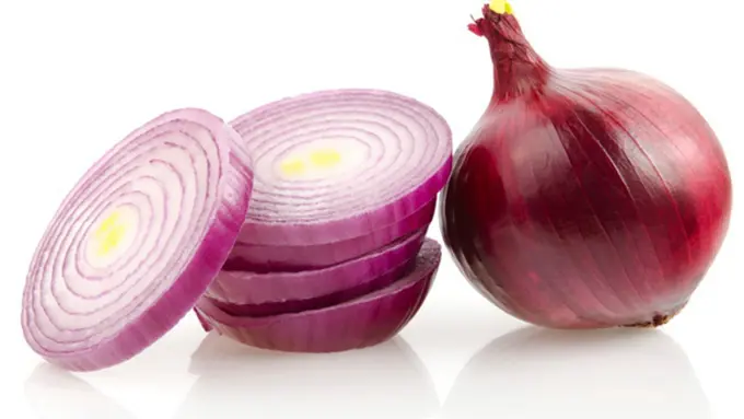 Foto: copyright thinkstockphotos.com