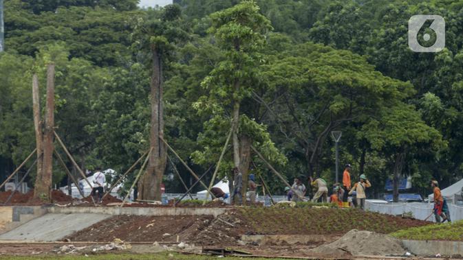 Pekerja melakukan penanaman kembali pohon-pohon di area proyek revitalisasi Taman Sisi Selatan Monunem Nasional, Jakarta, Rabu (5/2/2020).  Pohon tersebut adalah pohon baru untuk mengganti pohon besar yang ditebang. (merdeka.com/Imam Buhori)