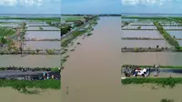 Banjir Terjang Palas Lampung Selatan, Ribuan Hektare Sawah Terendam