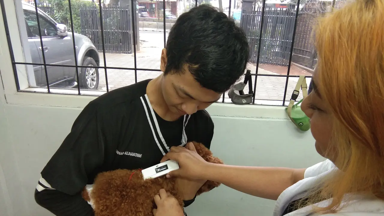 Seekor anjing sedang dipindai usai melakukan pemasangan microchip di tubuhnya (Liputan6.com/Giovani Dio Prasasti)