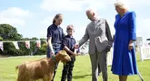 Raja Charles III dan Ratu Camilla melihat Kambing Golden Guernsey yang langka saat mengunjungi Les Cotils di L'Hyvreuse, di Pelabuhan Saint Peter, Guernsey dalam kunjungan dua hari ke Kepulauan Channel pada Selasa (16/7/2024).  (Andrew Matthews/PA melalui AP)