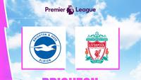 Prediksi Liga Inggris Brighton Vs Liverpool: Ujian Berat The Reds di Tengah Krisis Pemain