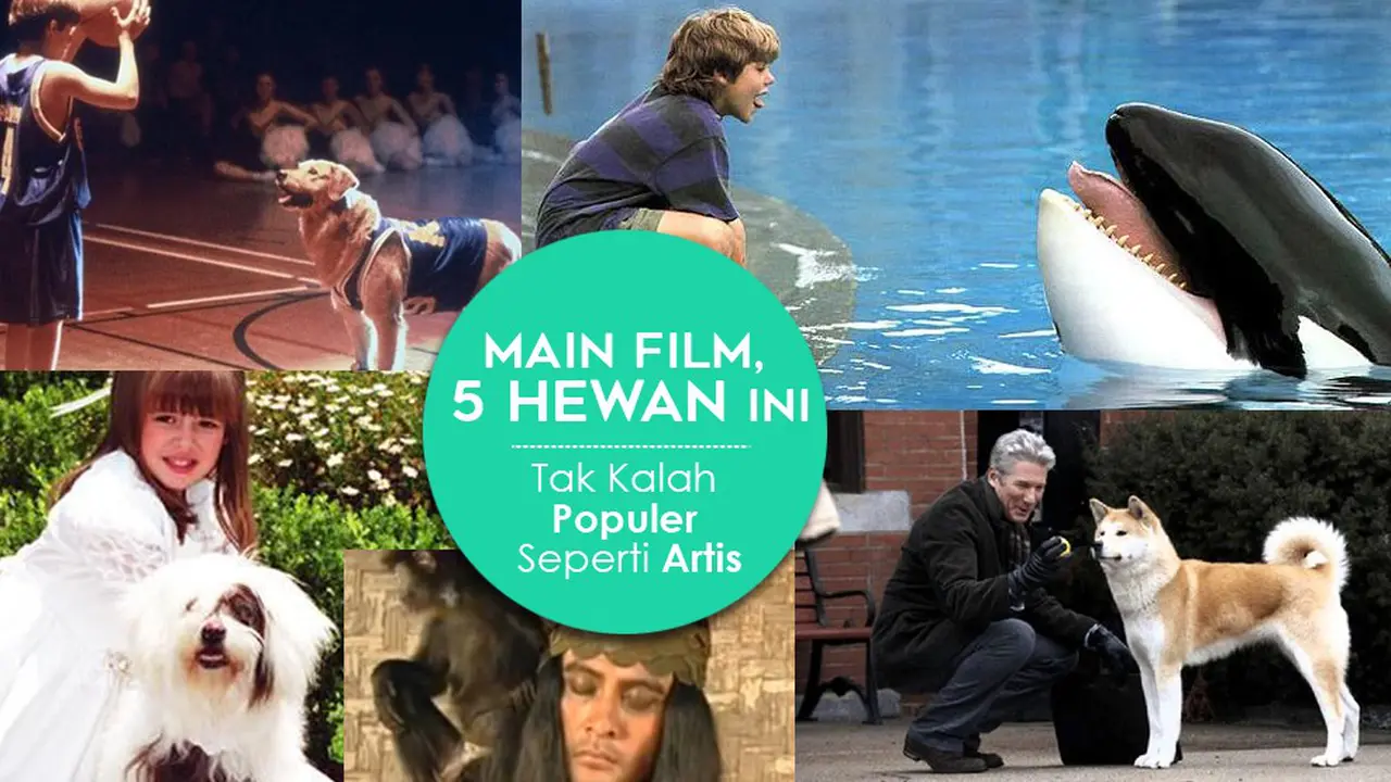 [Bintang] Main Film, 5 Hewan Ini Tak Kalah Populer Seperti Artis