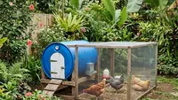 6 Desain Kandang Ayam dari Drum Bekas yang Mudah Dibersihkan, Murah dan Praktis untuk Lahan Sempit