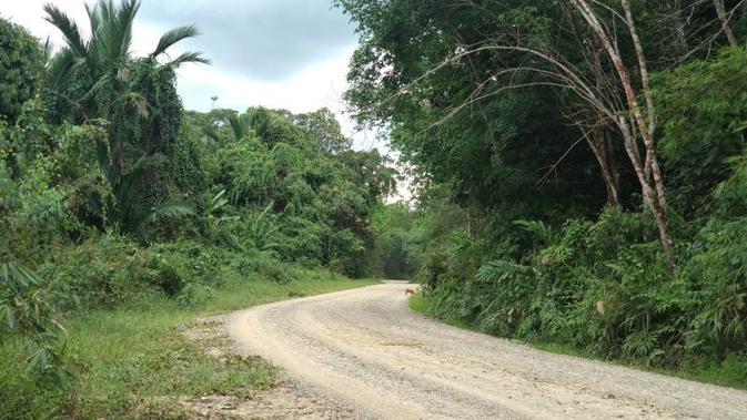 Kementerian PUPR membangun jalan akses Tering-Long Bagun sepanjang sekitar 145 km yang menghubungkan Kabupaten Kutai Barat dan Kabupaten Mahakam Ulu. (Maul/Liputan6.com)