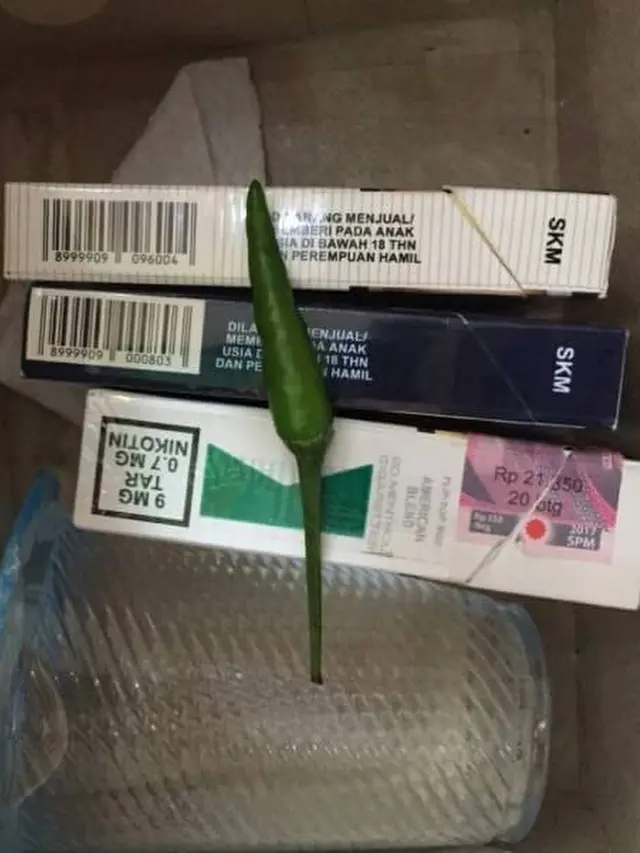 Sulit Diprediksi, Isi 6 Kotak Snack Ini Sungguh Tak Terduga
