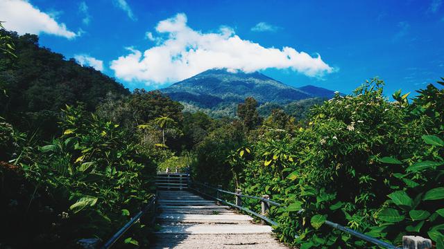 10 Tempat Wisata Di Bogor Terbaru Dan Instagramable Hot Liputan6 Com