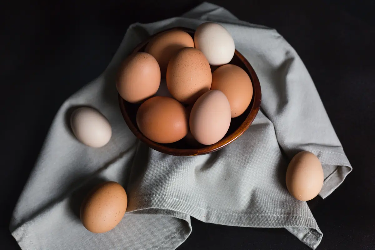 telur segar