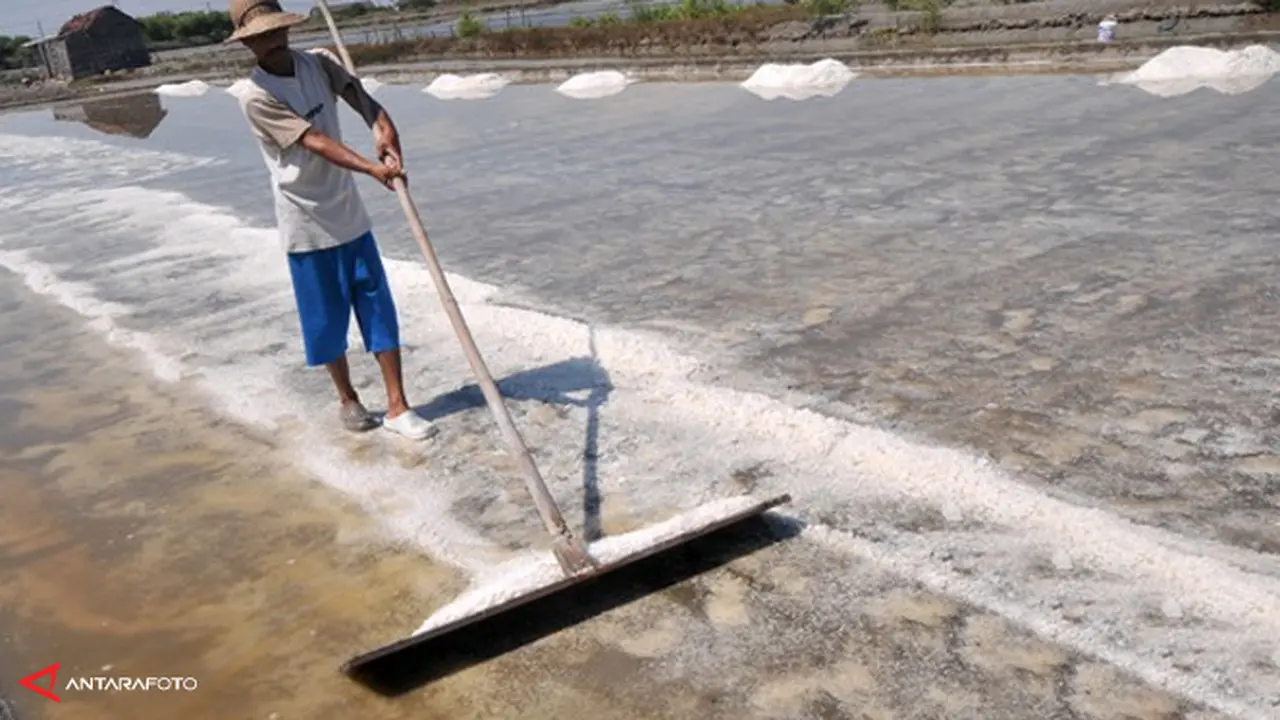 petani-garam-130722b.jpg