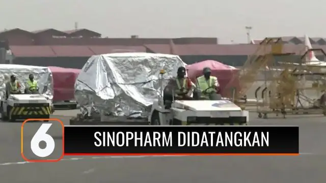 Pemerintah Indonesia kembali mendatangkan 500 ribu dosis vaksin Sinopharm dari Tiongkok. Kedatangan vaksin Covid-19 ini akan menambah pasokan untuk pelaksanaan program Vaksinasi Gotong Royong.