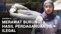 Rumah Sakit Burung Selamatkan Satwa Korban Perdagangan Ilegal