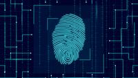 7 Fun Facts About Human Fingerprints