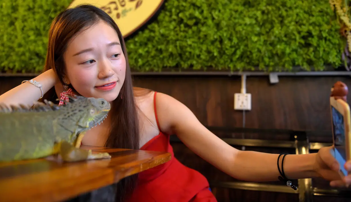 Foto pada 18 Agustus 2018 menunjukkan pelanggan berswafoto dengan iguana di Reptile Cafe, Phnom Penh, Kamboja. Kafe ini menimbulkan pro kontra, tidak sedikit yang menyebut hewan melata itu harus dibiarkan hidup di alam liar. (AFP/TANG CHHIN Sothy)