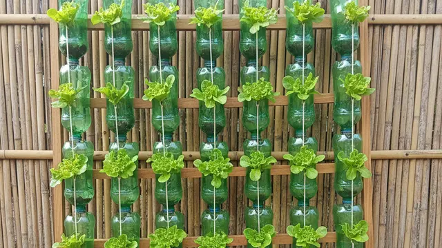 Desain Kebun Sayur Vertikultur Tanpa Tanah. AI