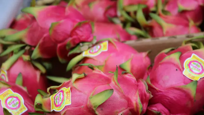 Buah naga untuk diet