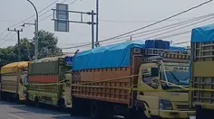 Terbongkar, 40 Ton Pupuk Subsidi Diselundupkan untuk Sawit