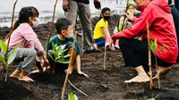 Jokowi: Indonesia Punya 3,36 Juta Hektare Hutan Mangrove, Terluas di Dunia