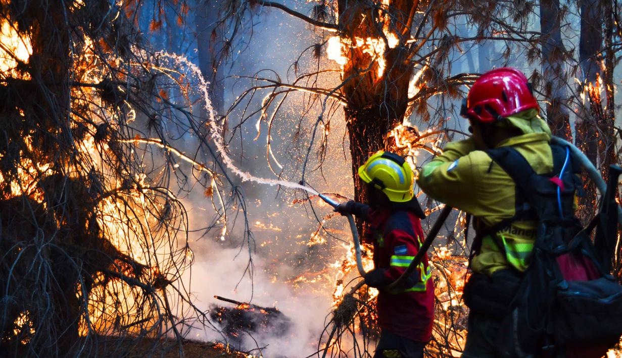 Peristiwa ini menimbulkan ancaman serius terhadap ekosistem di Patagonia, termasuk hutan tua dan keanekaragaman hayati, serta menambah daftar kebakaran besar yang kerap terjadi di wilayah selatan Argentina. Tampak dalam foto, petugas pemadam kebakaran berjuang memadamkan api saat kebakaran hutan berkobar di Epuyen, Patagonia, Argentina, Minggu 11 Januari 2026. (AP Photo/Nicolas Palacios)