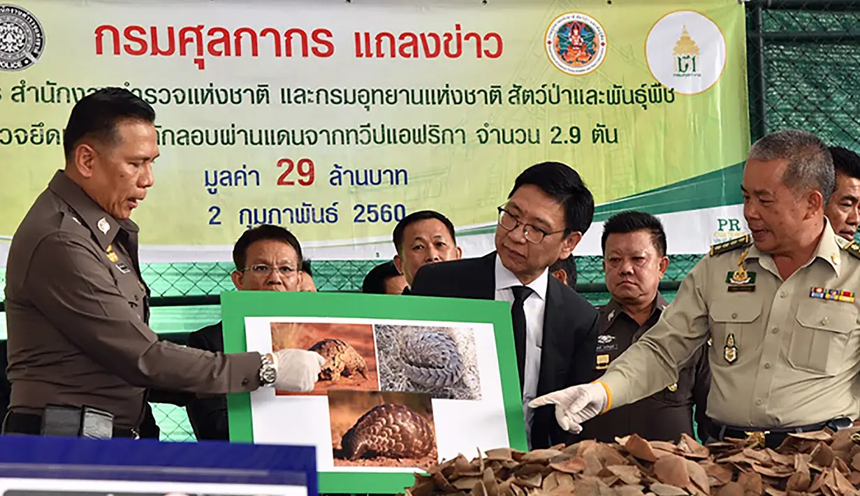 Petugas Bea Cukai Thailand menggelar konpers penyelundupan sisik trenggiling di Bangkok (2/2). Sisik trenggiling seberat hampir 3 ton dengan nilai 29 juta Baht atau sekitar Rp 10 miliar digagalkan Bea Cukai Thailand. (STR / Thai Customs Department / AFP)