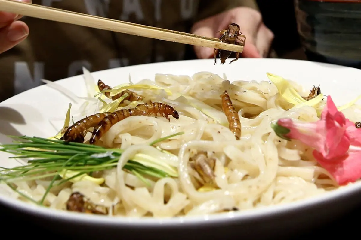 Ramen Campur Jangkrik dan Ulat Tengah Digilai Warga Jepang