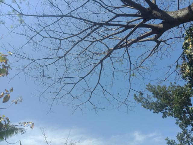 Cuaca Hari Ini Langit Jabodetabek Cerah Berawan News Liputan6 Com