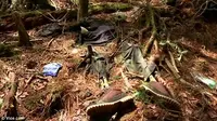 Hutan Menyeramkan yang Bikin Penasaran untuk Dijelajahi