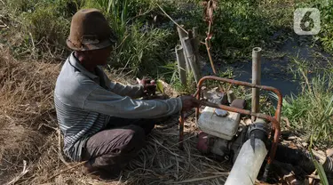 Nasim (67), petani sedang mengairi sawahnya yang dilanda kekeringan di Babelan, Bekasi, Jawa Barat, Selasa (5/9/2023). Nasim memodifikasi mesin pompa air berbahan bakar Pertalite menggunakan bahan bakar gas. (merdeka.com/Imam Buhori)