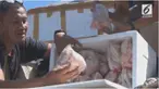 Polisi menggagalkan pengiriman daging ayam dan bebek ilegal dari Surabaya