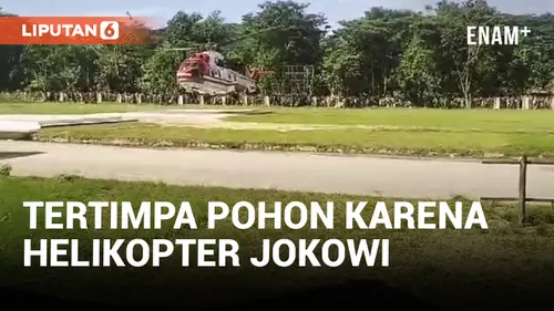 VIDEO: Helikopter Jokowi Bikin Ibu dan Anak Tertimpa Pohon