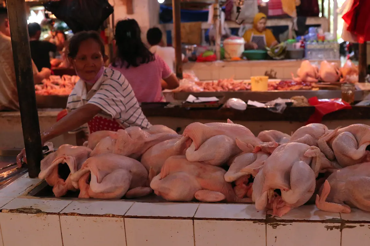 Mendag: Program MBG Bantu Jaga Harga Daging Ayam