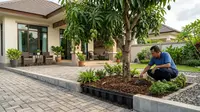 9 Cara Menanam Pohon Buah Dekat Teras agar Akar Tidak Mudah Mengganggu Paving Rumah