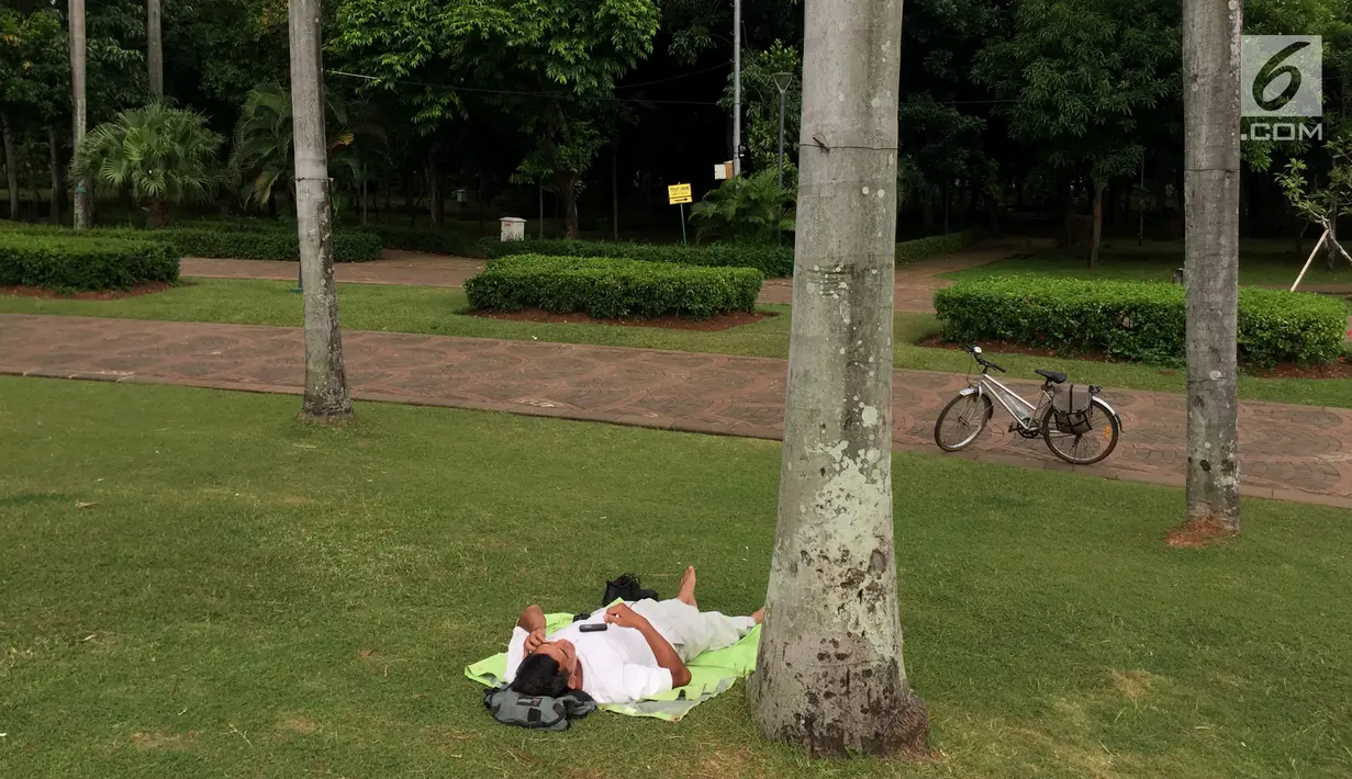 Seorang pengunjung bersantai sambil tiduran di sekitar Taman Monas, Jakarta, Rabu (17/1). Dibukanya pagar pembatas Taman Monas membuat warga bisa masuk ke area taman yang mengelilingi lokasi wisata di Ibu Kota tersebut. (Liputan6.com/Immanuel Antonius)