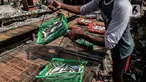 Pekerja menjemur ikan asin di sentra produksi kawasan Kampung Nelayan Muara Angke, Jakarta, Kamis,(17/2/2022). Kementerian Keuangan mengalokasikan anggaran untuk program Pemulihan Ekonomi Nasional (PEN) tahun 2022 sebesar Rp455,62 triliun. (Liputan6.com/Johan Tallo)