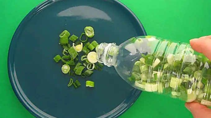 copyright by shutterstock.com