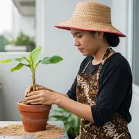 Wanita sedang menanam pisang di pot karena tidak punya lahan luas. [Foto: Gemini]