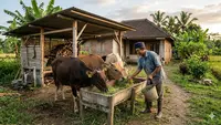 TOP 3: Ide Usaha Ternak Usia 40 Tahun, Ayam Lidi Modal Rp300 Ribu, dan Bisnis IRT Usai Lebaran