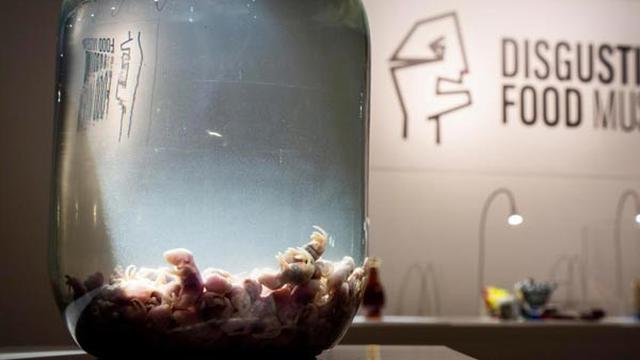 Museum Ini Abadikan Santapan Ekstrim, Berani Coba?